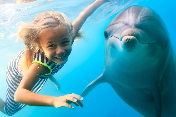 East Coast Living vacation renter enjoying a dolphin cruise